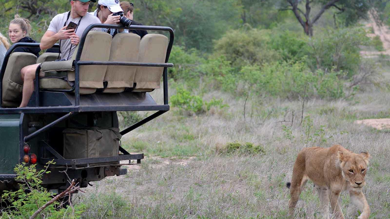 nThambo Tree Camp » Matoke