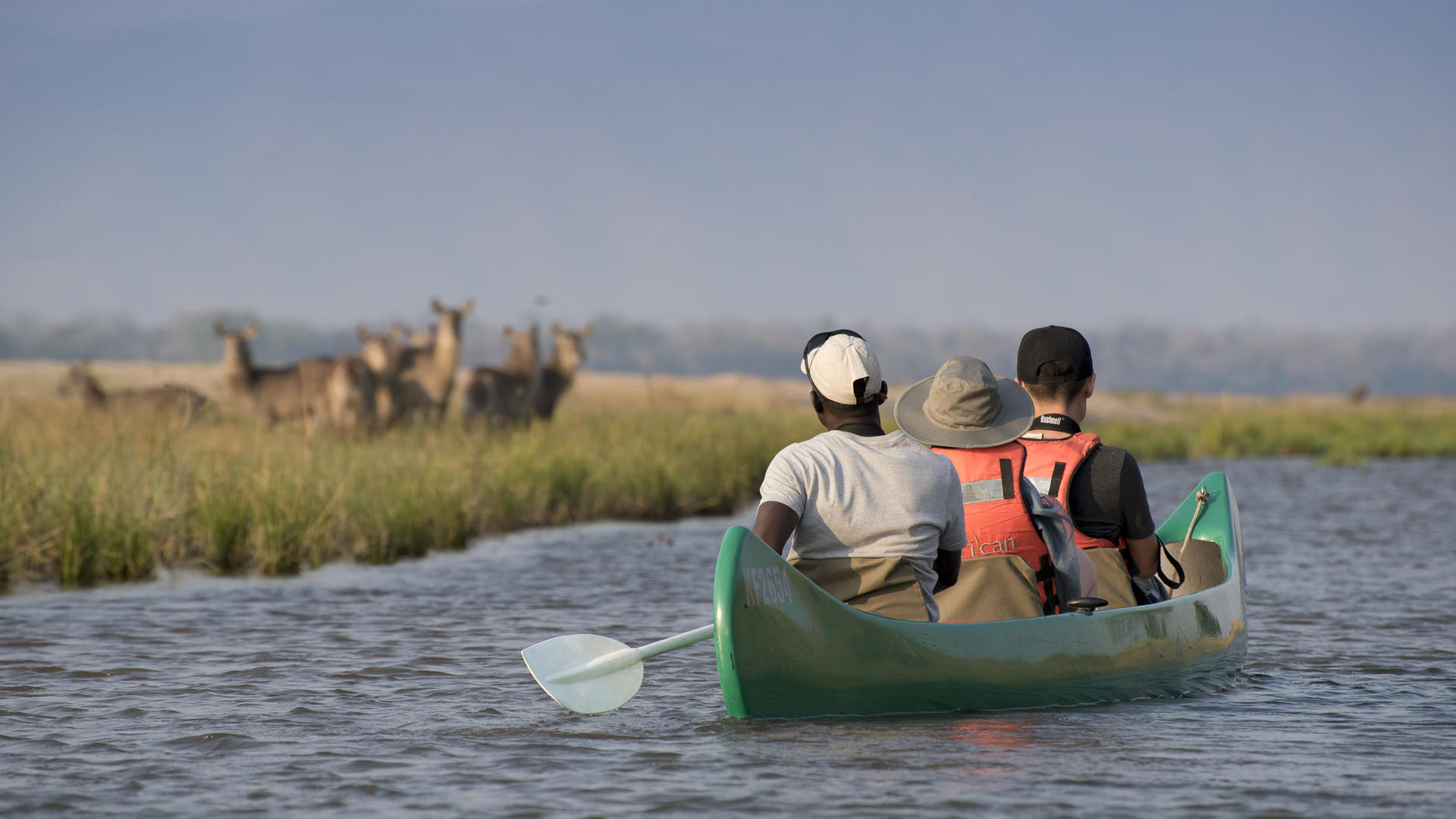 Zimbabwe safari prijzen - Wat kost een rondreis door Zimbabwe?