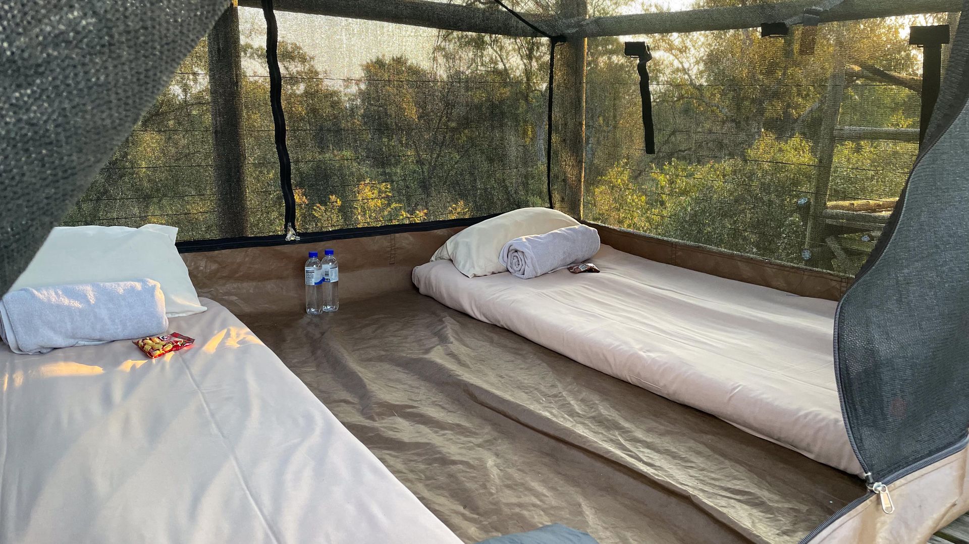 Rhino Walking Safari Plains Camp » Matoke