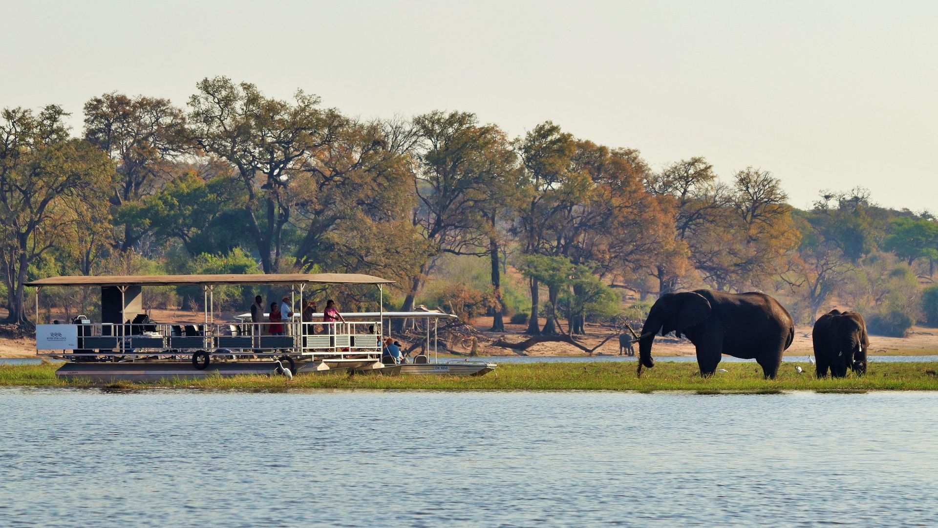 River View Lodge » Matoke