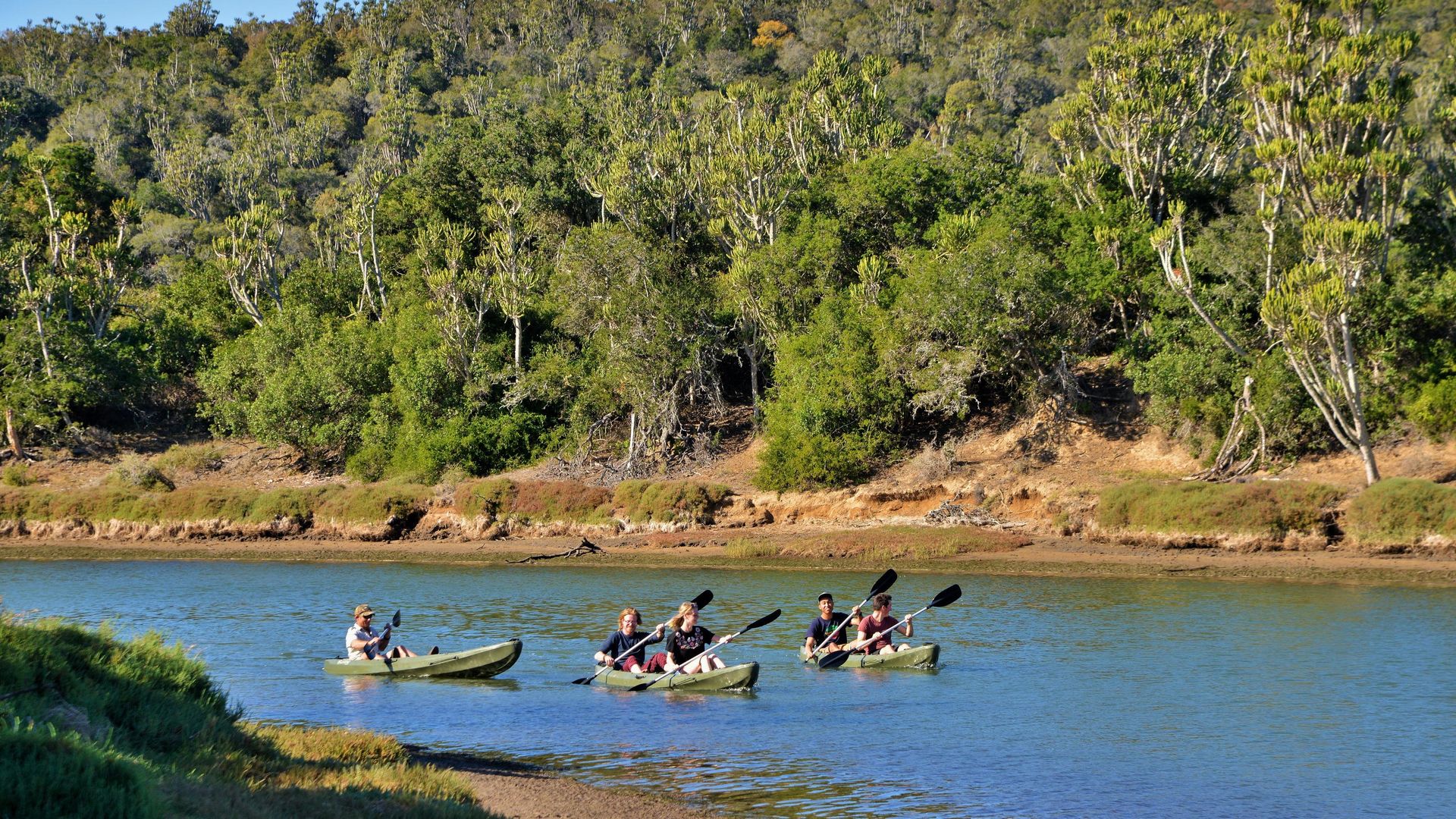 Sibuya Forest Camp » Matoke