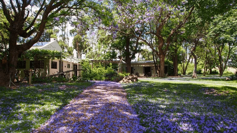 Addo African Home » Matoke