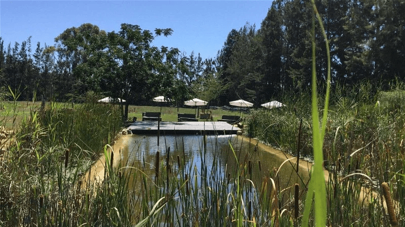 Addo African Home » Matoke