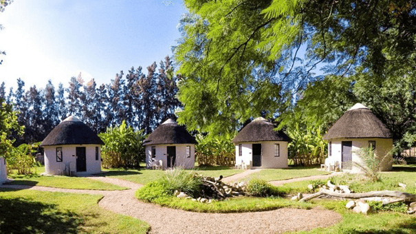 Addo African Home » Matoke