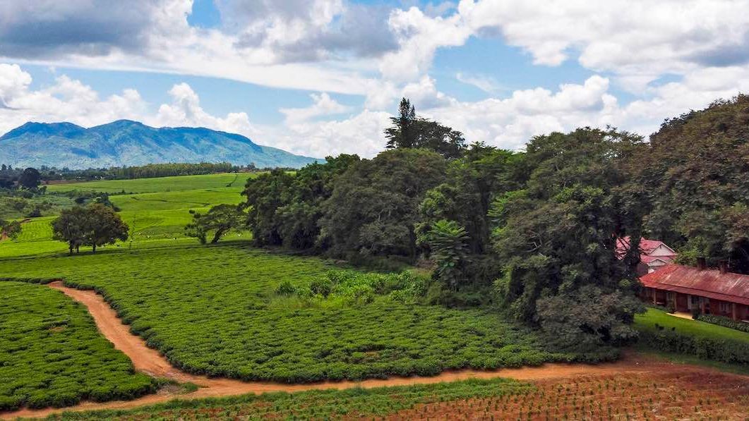 AfricaWildTruck Camp en Lodge » Matoke