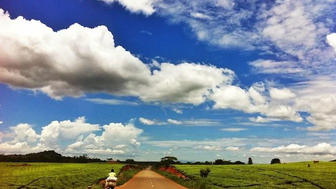 AfricaWildTruck Camp en Lodge » Matoke