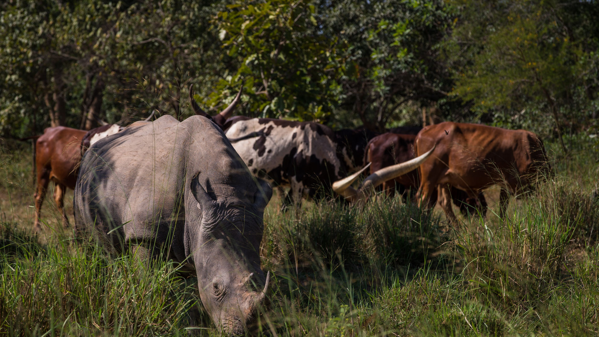 Oeganda familie reis | Gezinsreis naar Oeganda met Matoke Tours