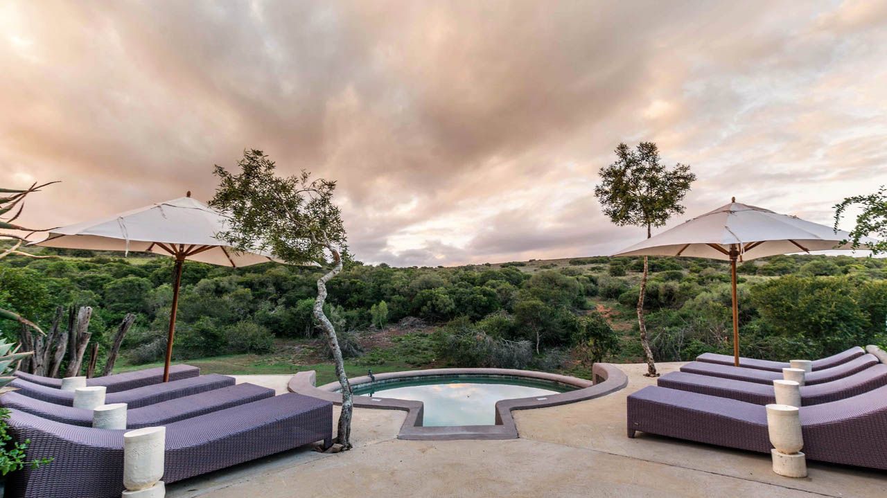 Amakhala Safari Lodge » Zuid Afrika » Matoke Tours