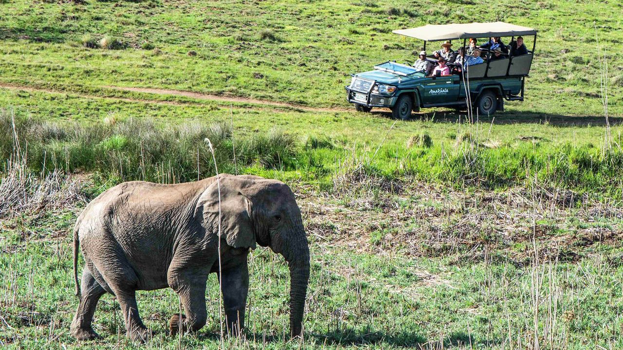 Amakhala Safari Lodge » Zuid Afrika » Matoke Tours
