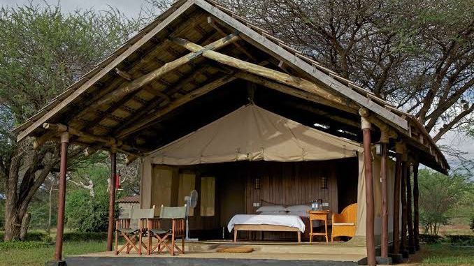 Ashnill Aruba Lodge » Matoke