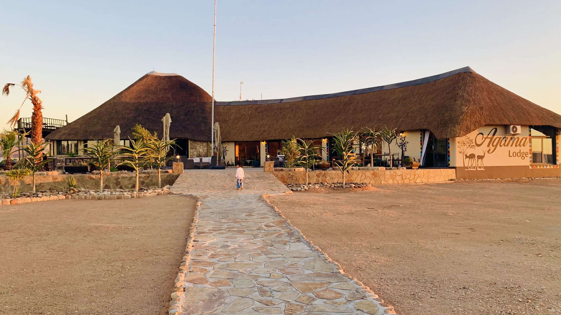 Agama lodge » Matoke