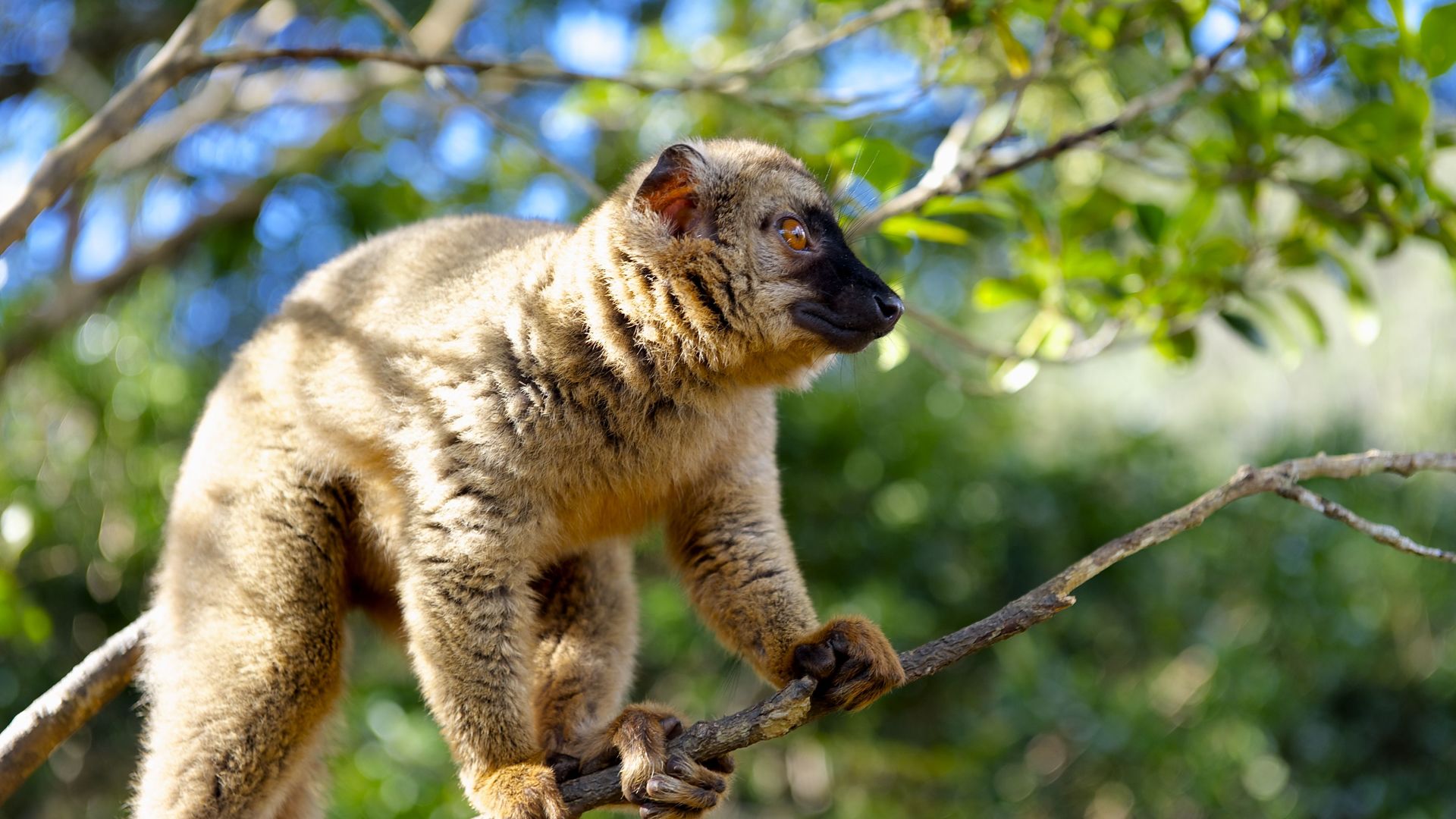 Madagascar Prijzen - Wat kost een reis door Madagascar?