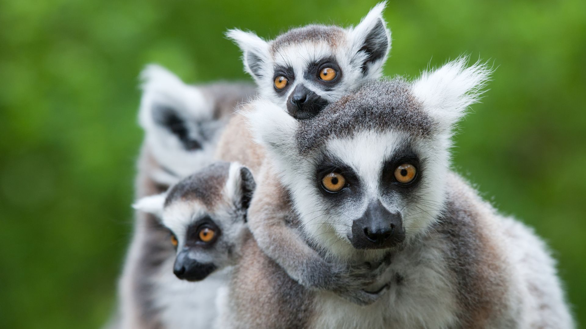 Madagascar excursies en activiteiten - Ankarana Tsingy rotsen