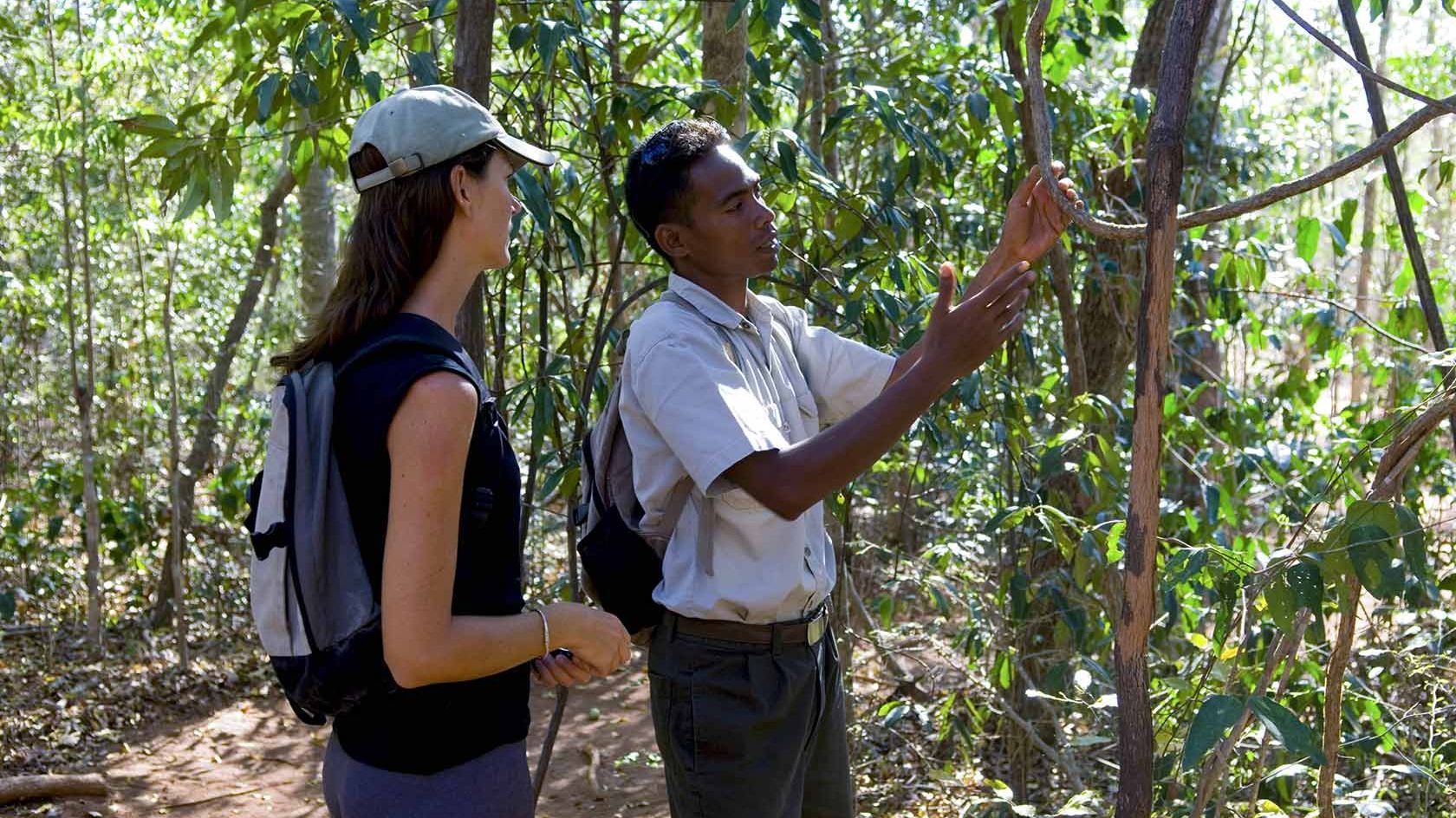 Anjajavy Resort » Madagascar » Matoke Tours