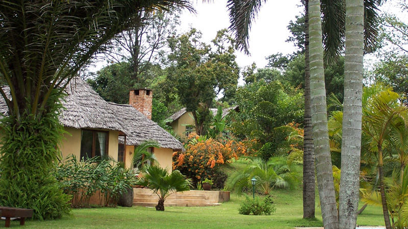 Arusha Safari Lodge » Matoke