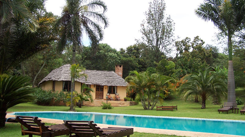 Arusha Safari Lodge » Matoke