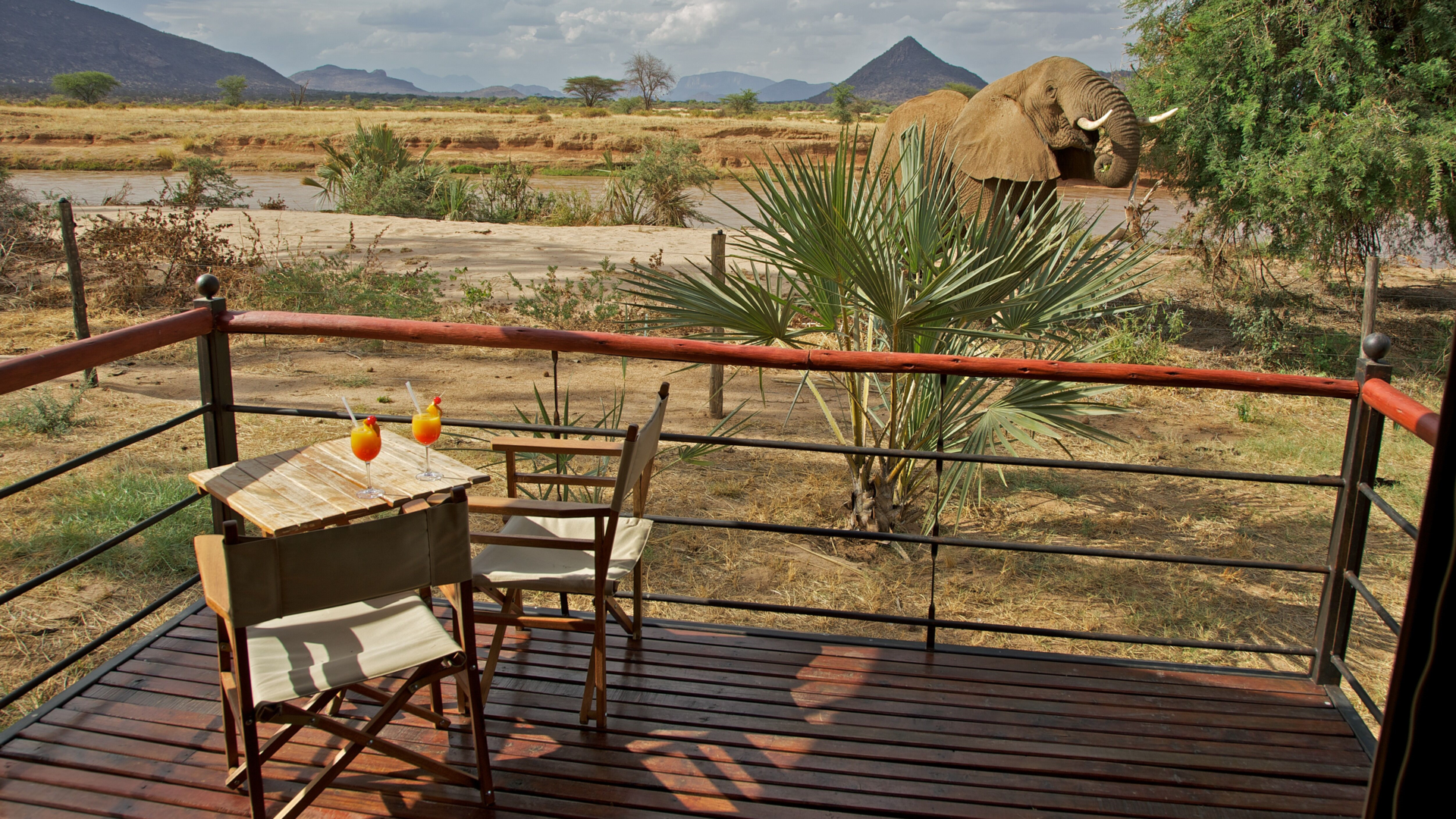 Ashnill Samburu Camp » Matoke