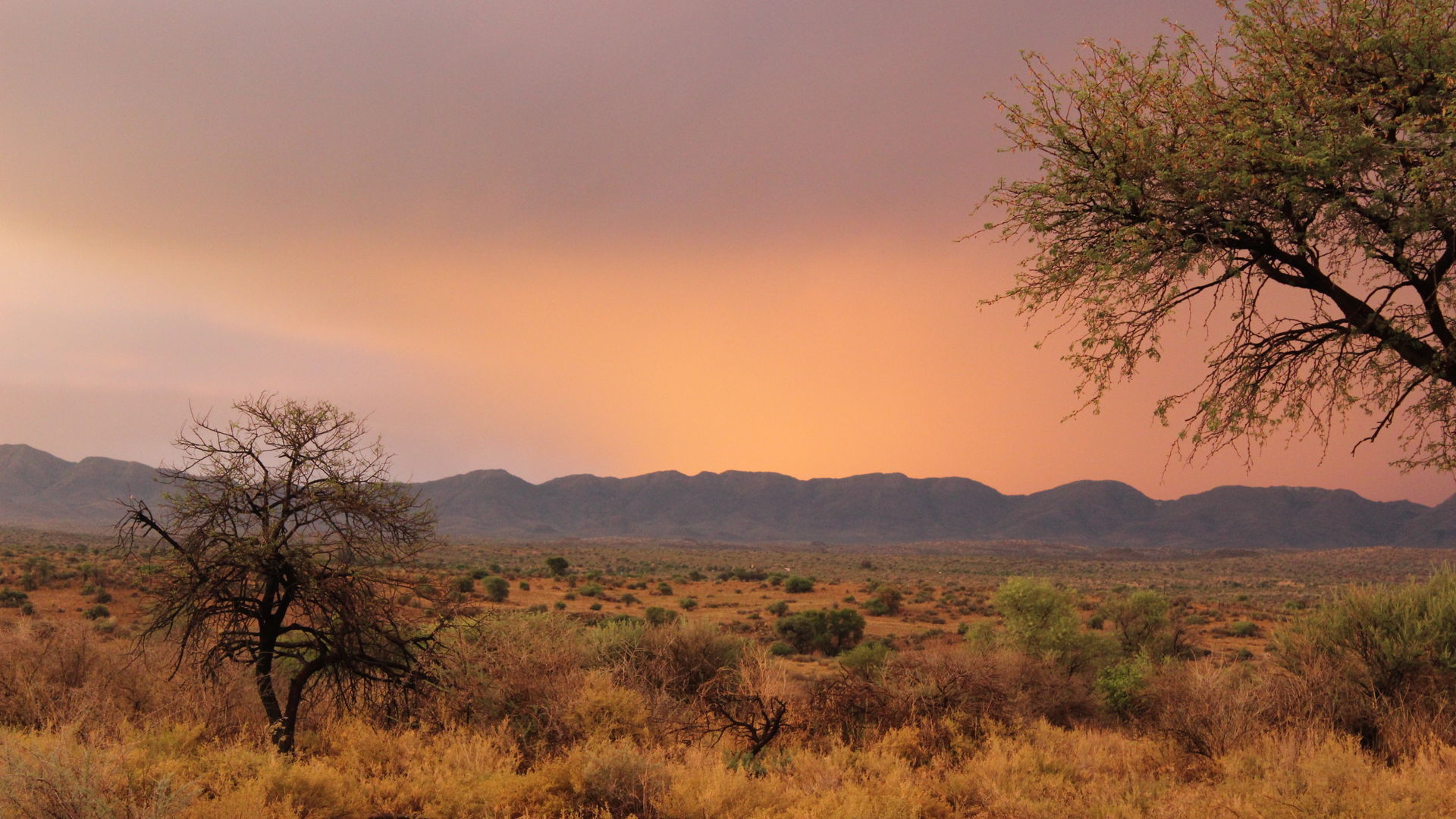 Bruisende familiereis Namibië » Matoke