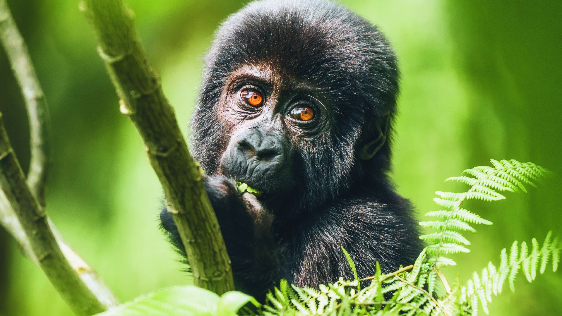 Matoke Tours Africa DMC | Traveling Sisterhood Safaris