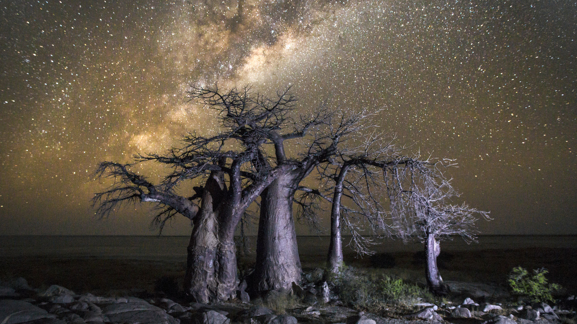 Rondreis Botswana 14 dagen met Helikoptersafari - Matoke Tours