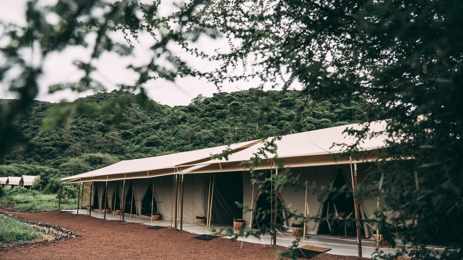 Lake Manyara Tortilis Camp » Matoke