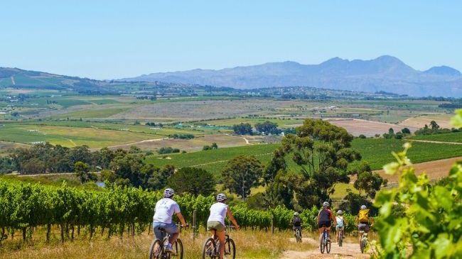 Franschhoek - de wijnhoofdstad van Zuid-Afrika | Matoke Tours