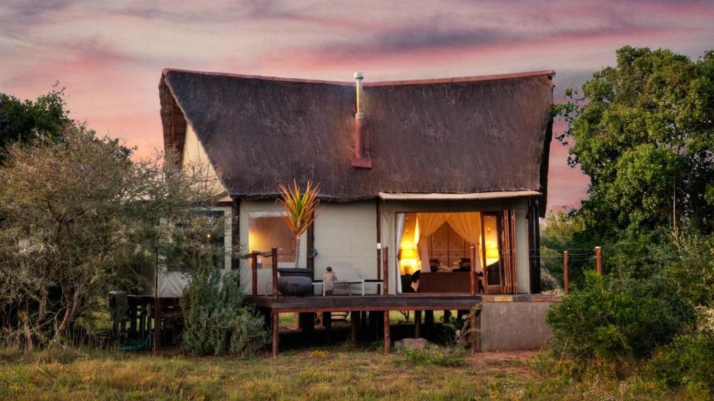 Bush Lodge Amakhala » Zuid Afrika » Matoke Tours
