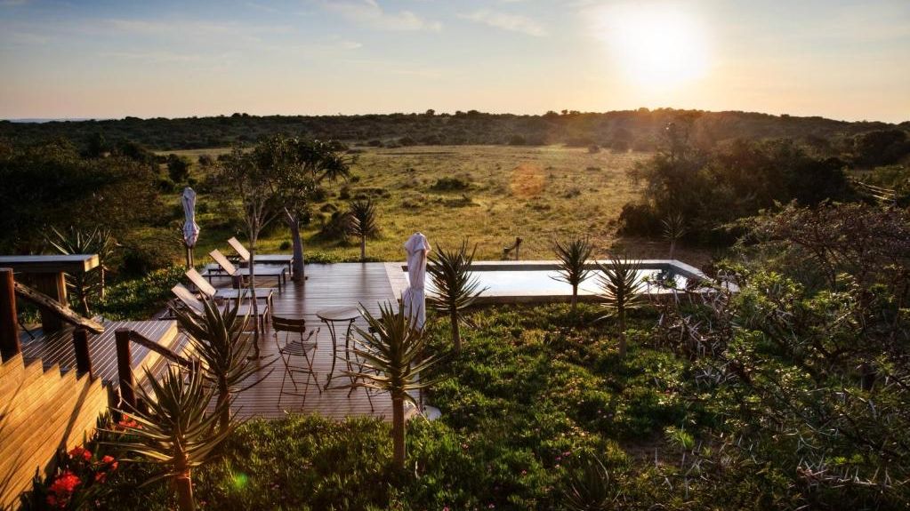 Bush Lodge Amakhala » Zuid Afrika » Matoke Tours