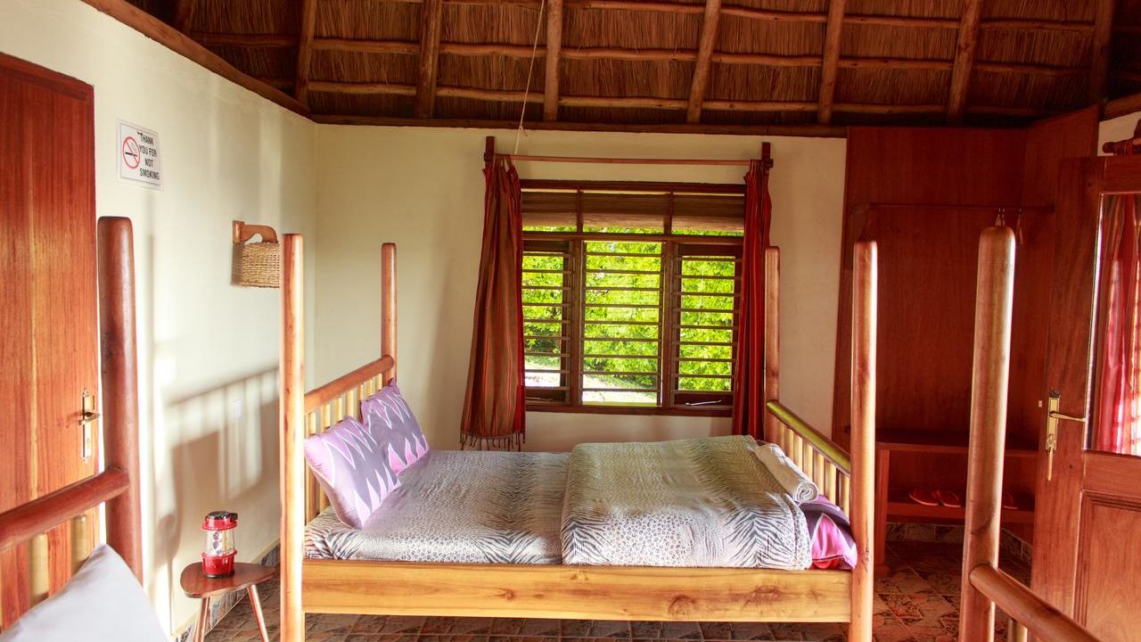 Chimpanzee Forest Lodge » Matoke