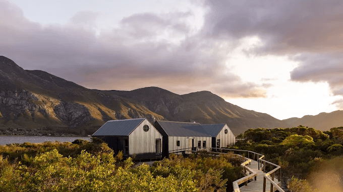 Coot Club » Zuid Afrika » Matoke Tours