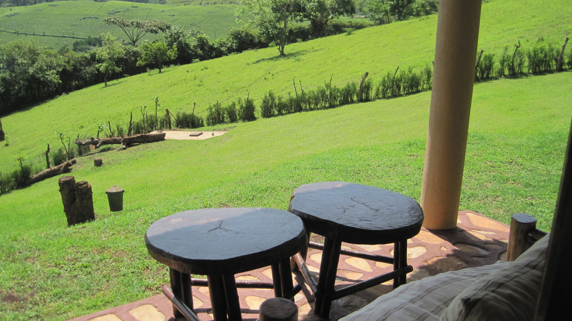 Chimpanzee Forest Lodge » Matoke