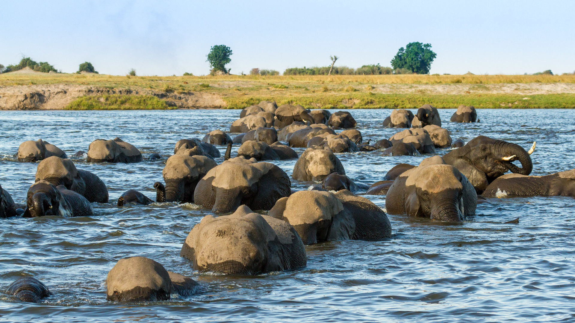 Individuele rondreis Botswana | 12 dagen reis | Matoke Tours