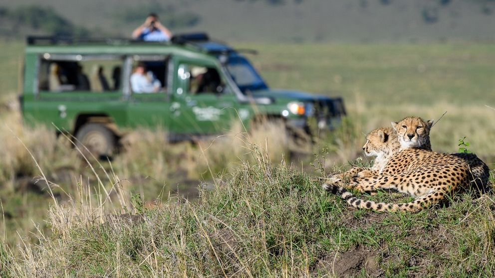 Kenia Safari en strand » Matoke