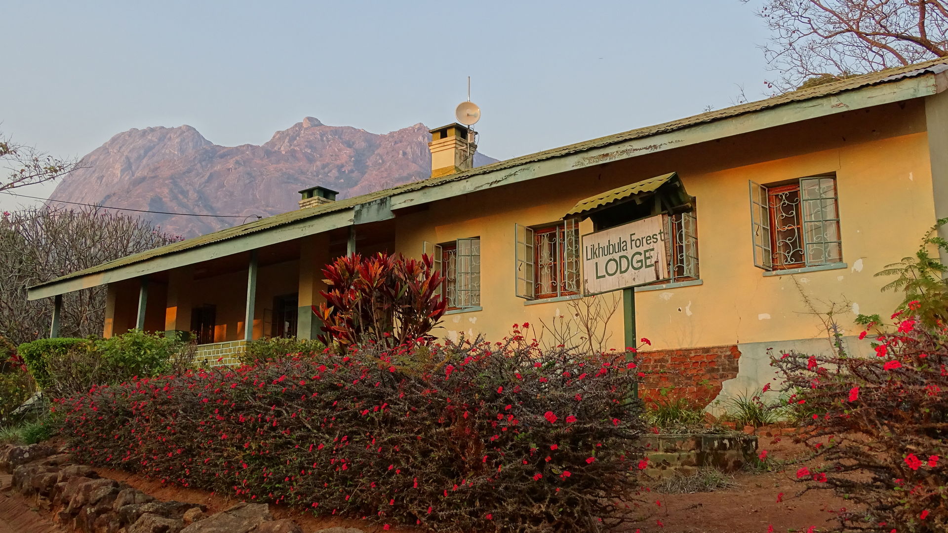 Likhubula Forest Lodge » Matoke