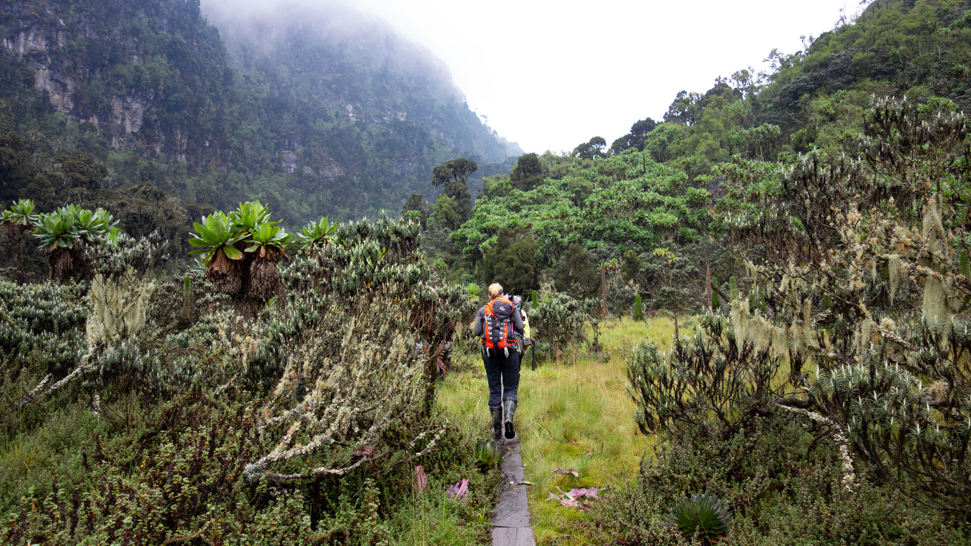 Oeganda actief met Rwenzori trekking | Wandelen en hiken in Oeganda