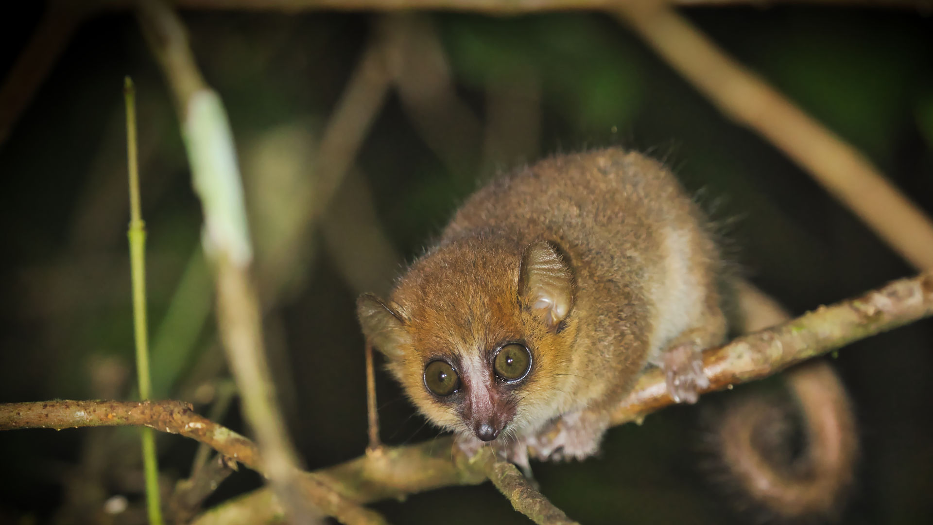 Individuele rondreis door Madagascar | Prive reizen Madagaskar