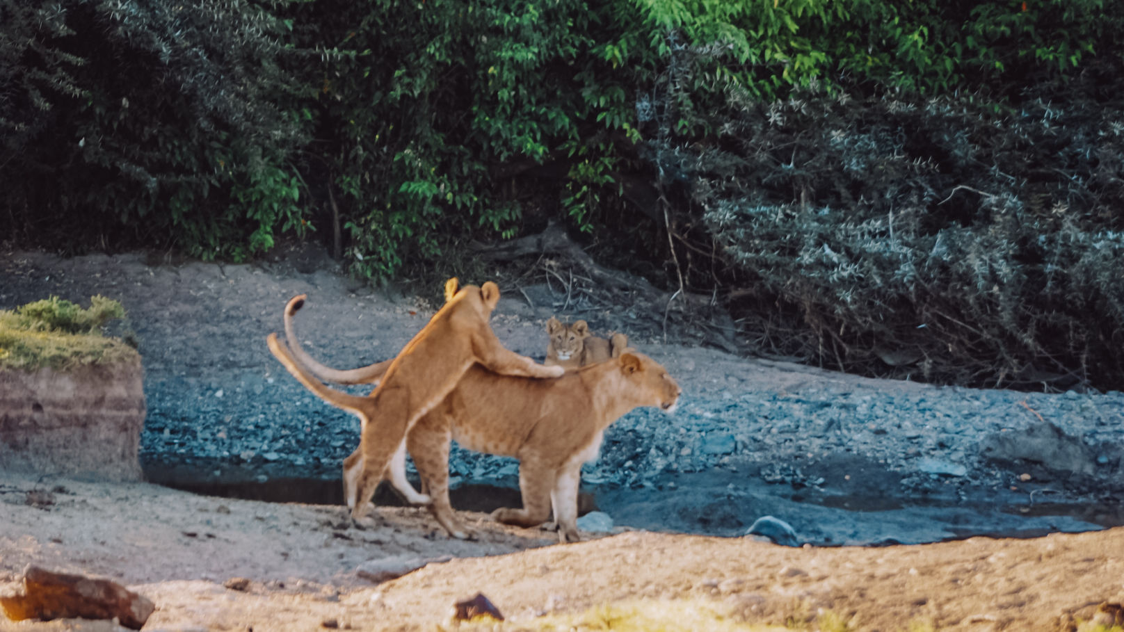 Reisspecialist Iris van Matoke Tours op studiereis in Kenia