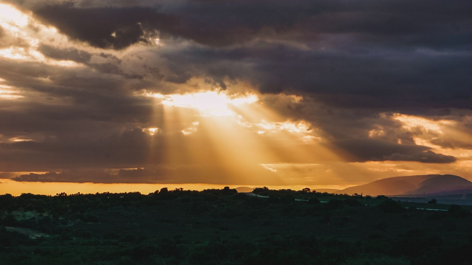Reisspecialist Iris op studiereis in Zuid-Afrika en de Seychellen
