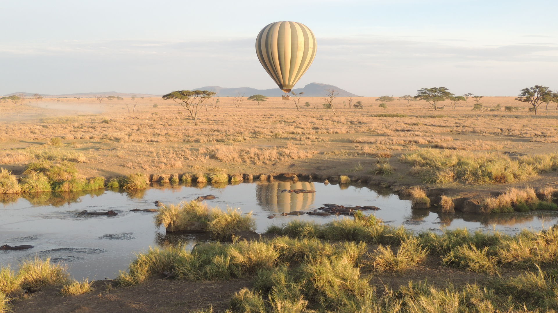 Afrika Blog van Matoke Tours - Uit liefde voor AFRIKA