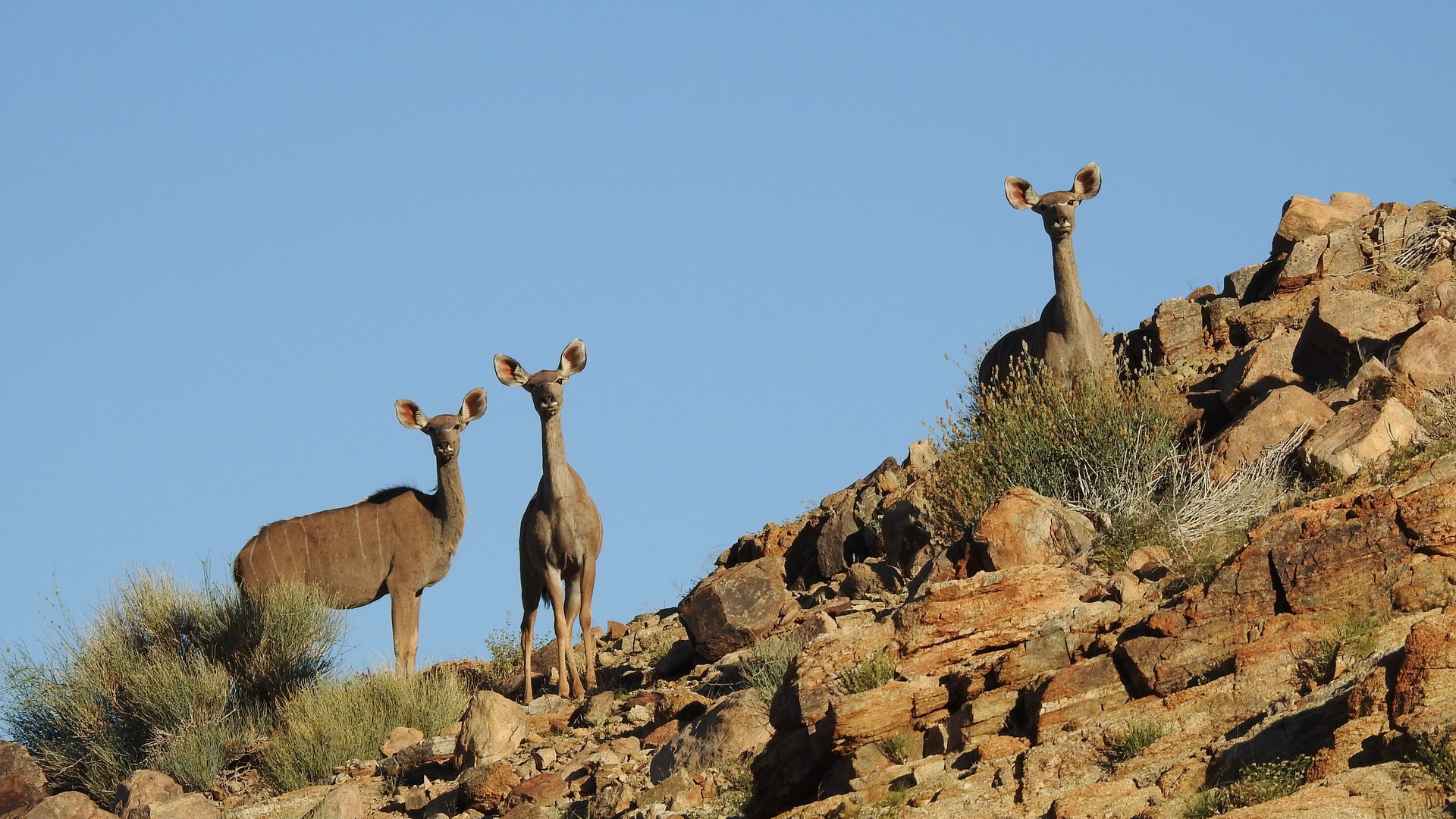 Namibie 3 weken - Ontdek Namibie in 21 dagen - Matoke Tours