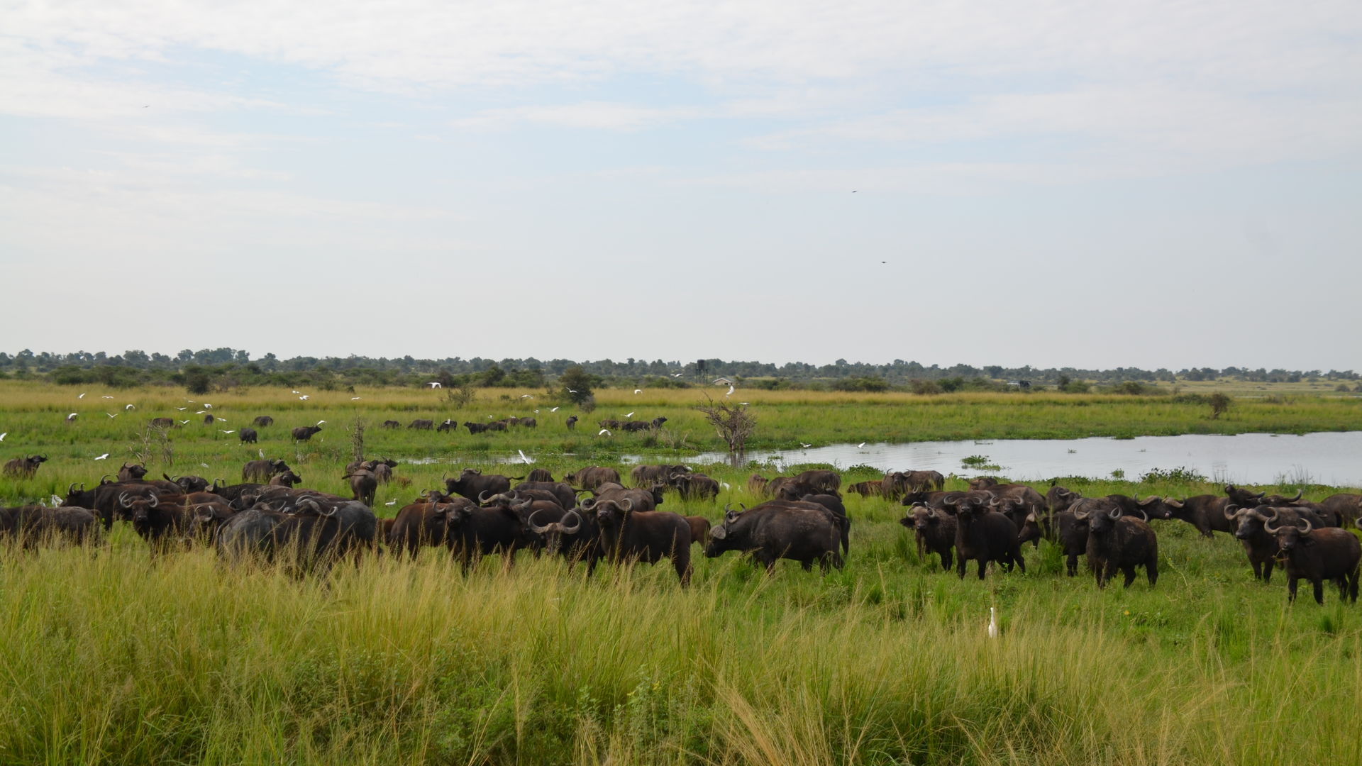 Waterberg - Nationaal Park - Zuid-Afrika - Matoke Tours