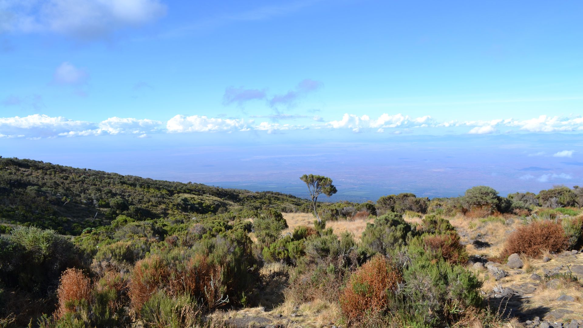 Kilimanjaro Groepsreis - Machame whiskey route - met GEGARANDEERD vertrek