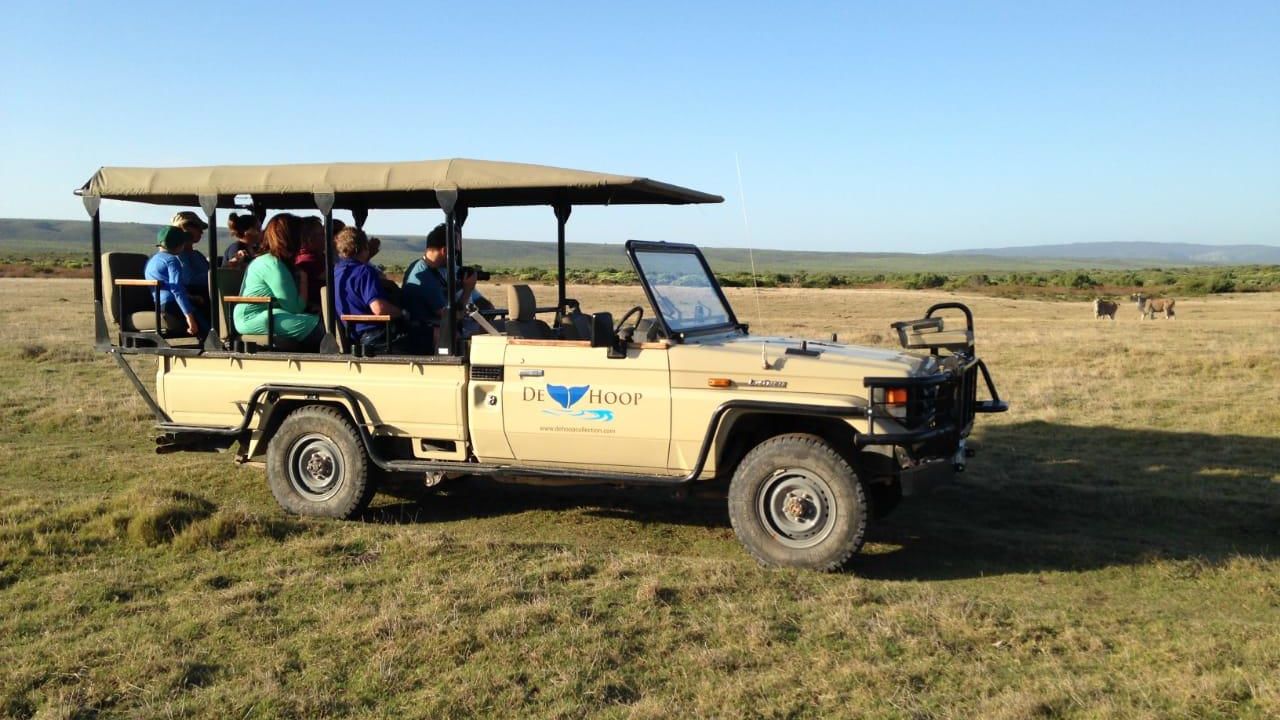 De Hoop - Natuur Reservaat - Zuid-Afrika - Matoke Tours