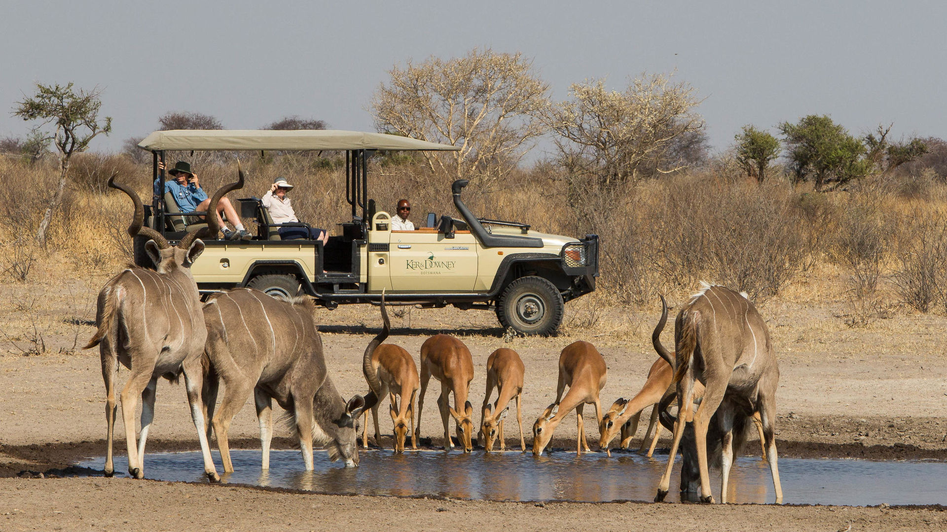 Dinaka Safari Lodge » Matoke