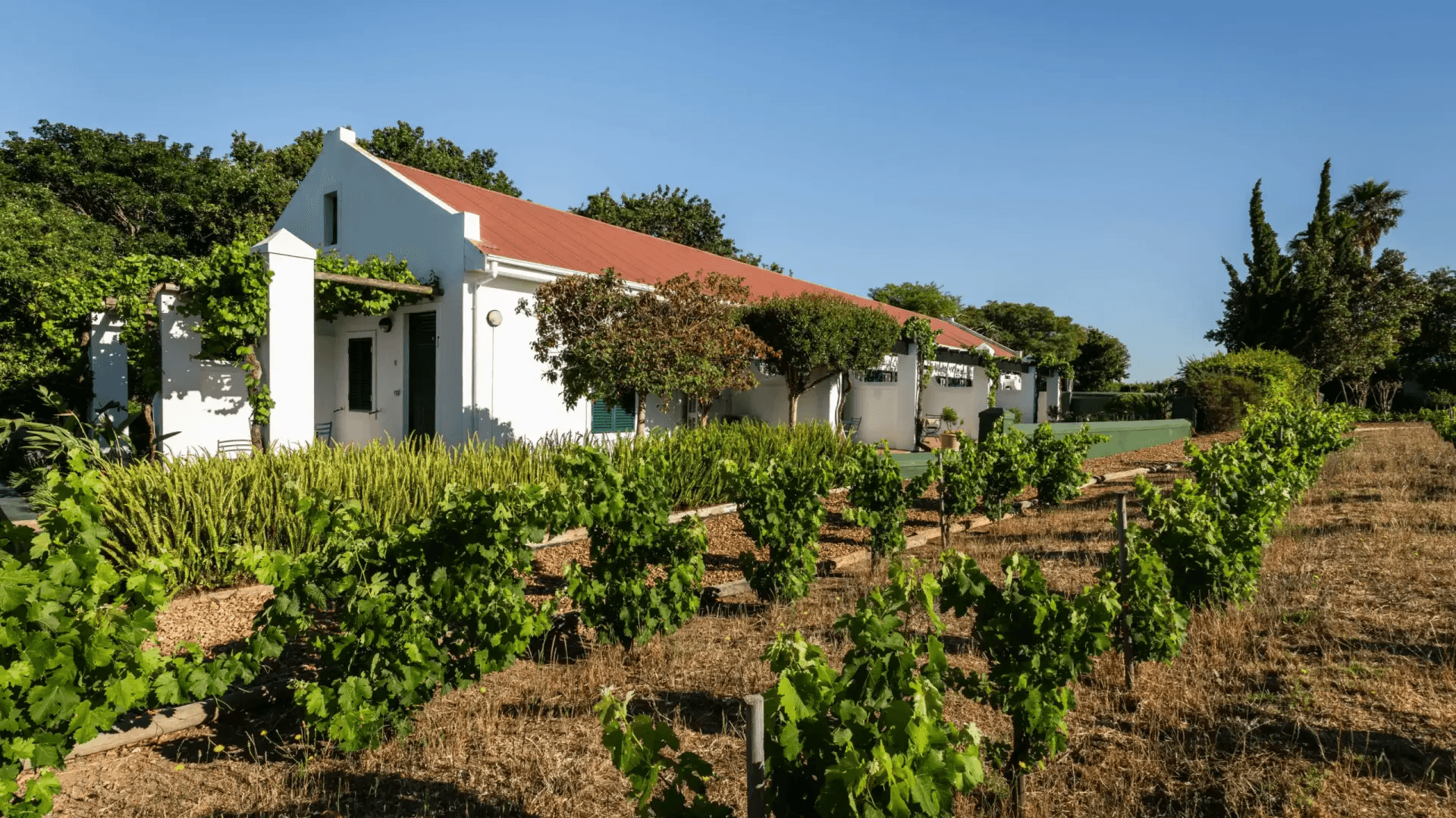 Eikendal Lodge » Matoke