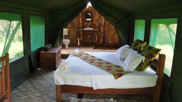 Hondo Hondo Udzungwa Forest Tented Camp » Matoke