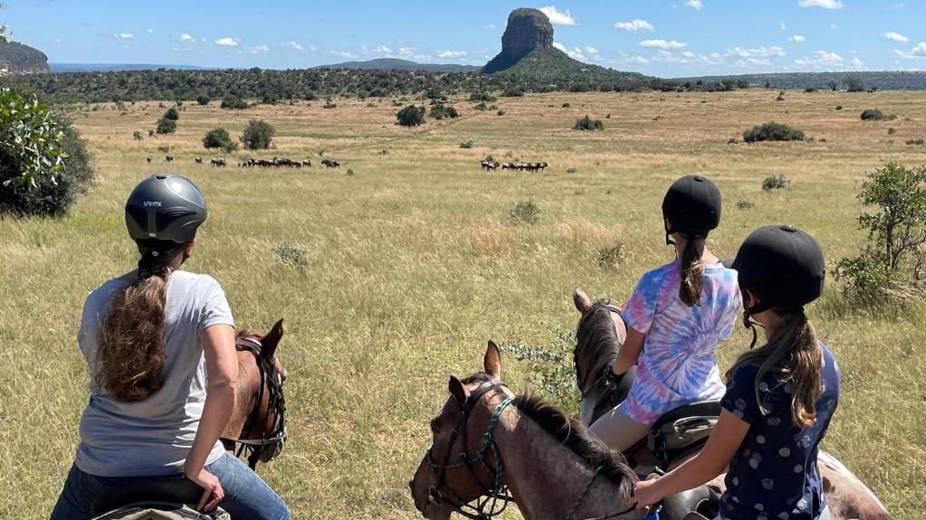 Entabeni Lakeside Lodge » Zuid Afrika » Matoke Tours