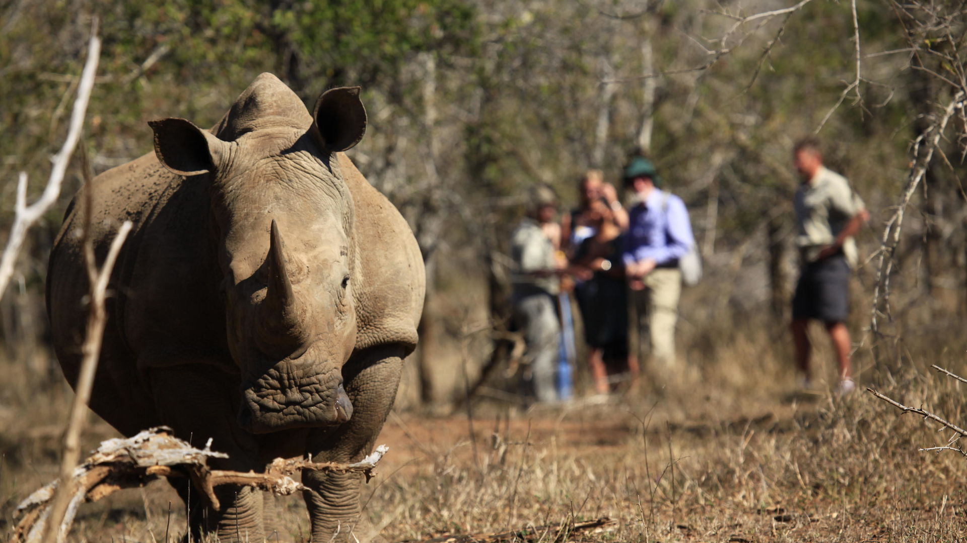 Reis door Zuid Afrika in 3 weken | Zuid Afrika compleet