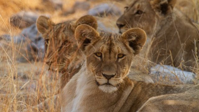 Reisinformatie Namibie | Matoke Tours