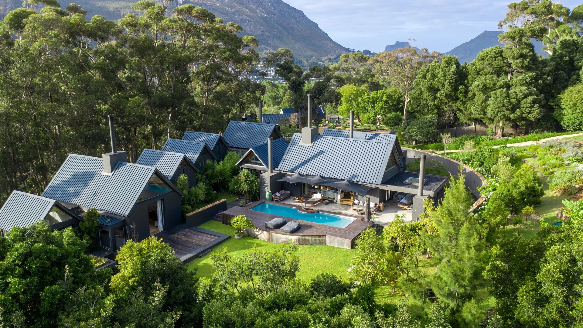 Future Found Sanctuary » Matoke